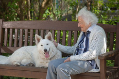 Tiertherapie im Pflegeheim Berlin Steglitz