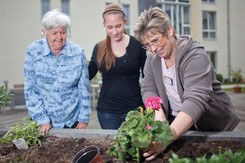 Bewohner und Pflegekraft pflanzen Blumen