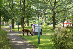 Psychiatrie Berlin: Garten vom Haus Radeland